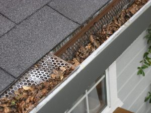 Home Verstopte dakgoten in Den Bosch met bladeren en mos die waterschade en houtrot veroorzaken
