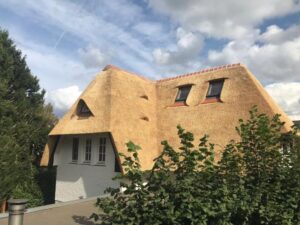 Rietdekker in Zuid-Holland voert stormschadeherstel uit aan rieten dak met beschadigde nokafwerking