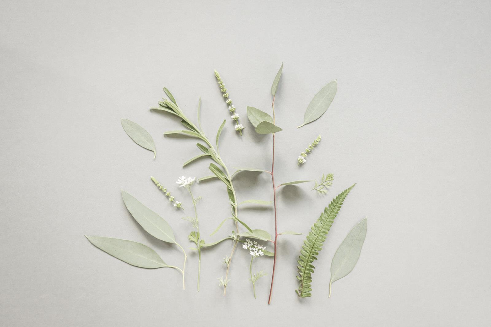 Voorbeeld van een flatlayfotografie compositie met producten van bovenaf gefotografeerd in vogelvlucht perspectief